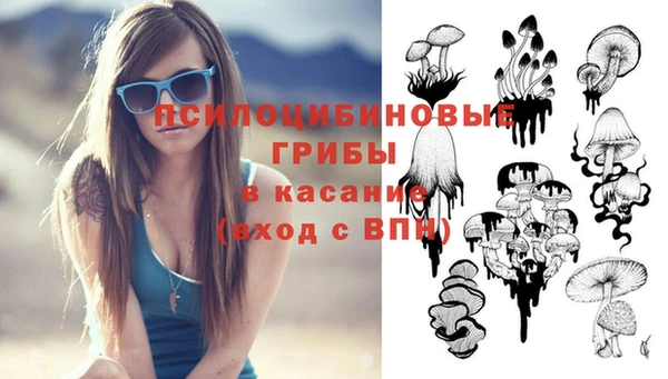 apvp Новодвинск
