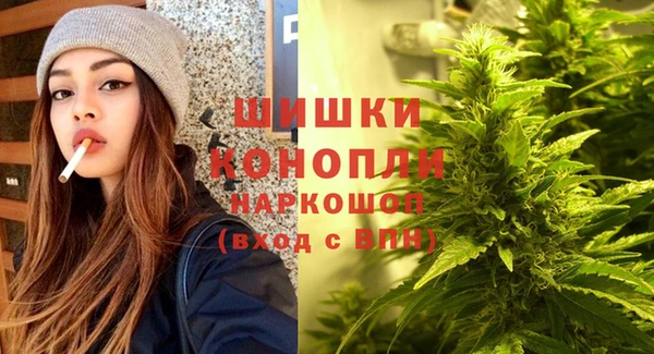 марки lsd Новозыбков