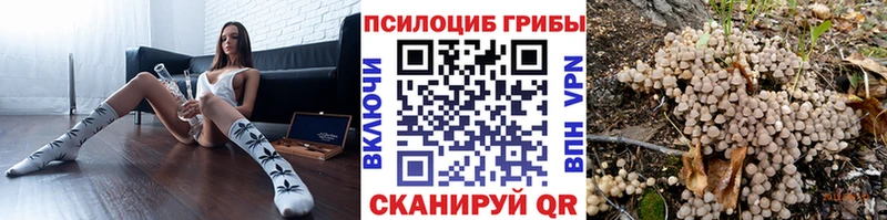 магазин продажи   Краснозаводск  Галлюциногенные грибы GOLDEN TEACHER 